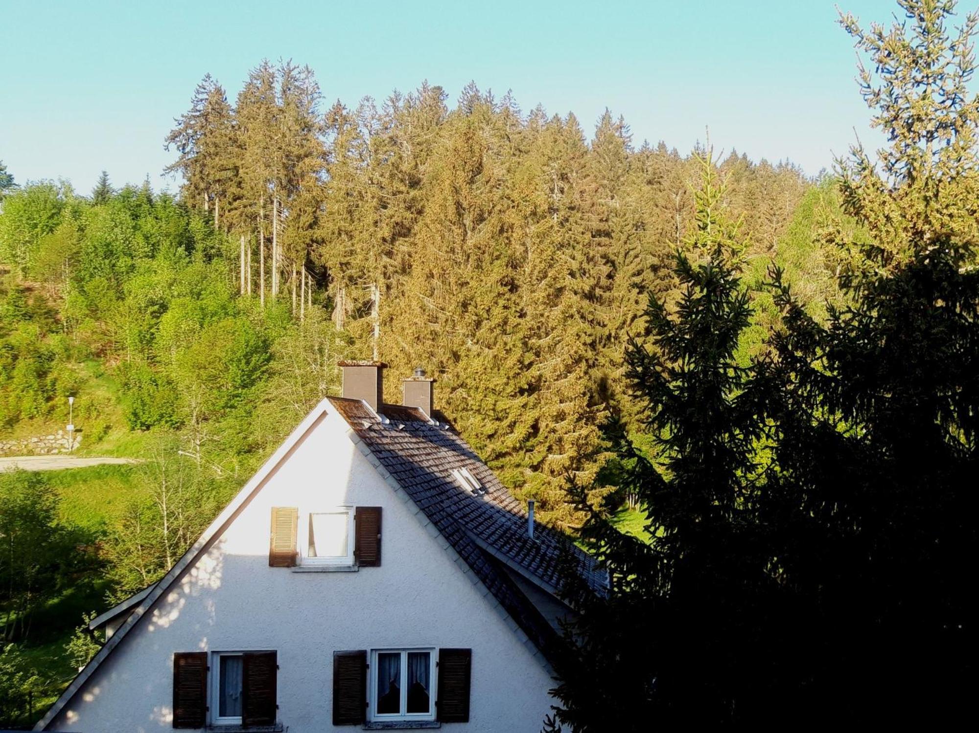 Schönwald FeWo 471 Exterior foto
